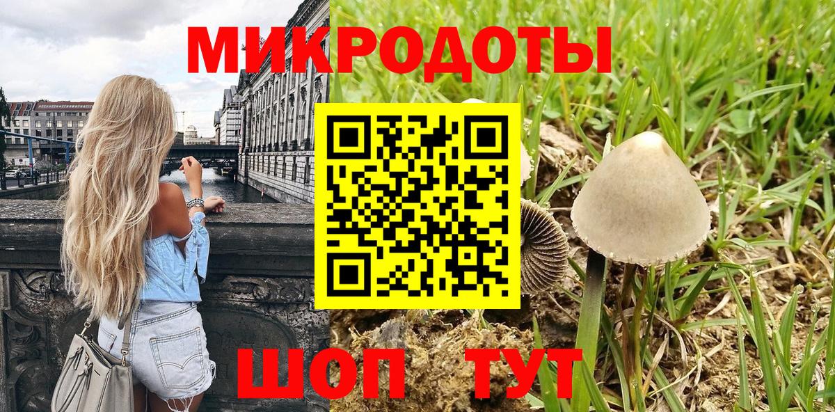 Галлюциногенные грибы Psilocybine cubensis Кстово
